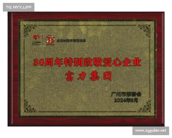 广州市慈善会特别致敬企业背后的社会责任与影响力深度解析 广州市慈善会特别致敬企业背后的社会责任与影响力深度解析